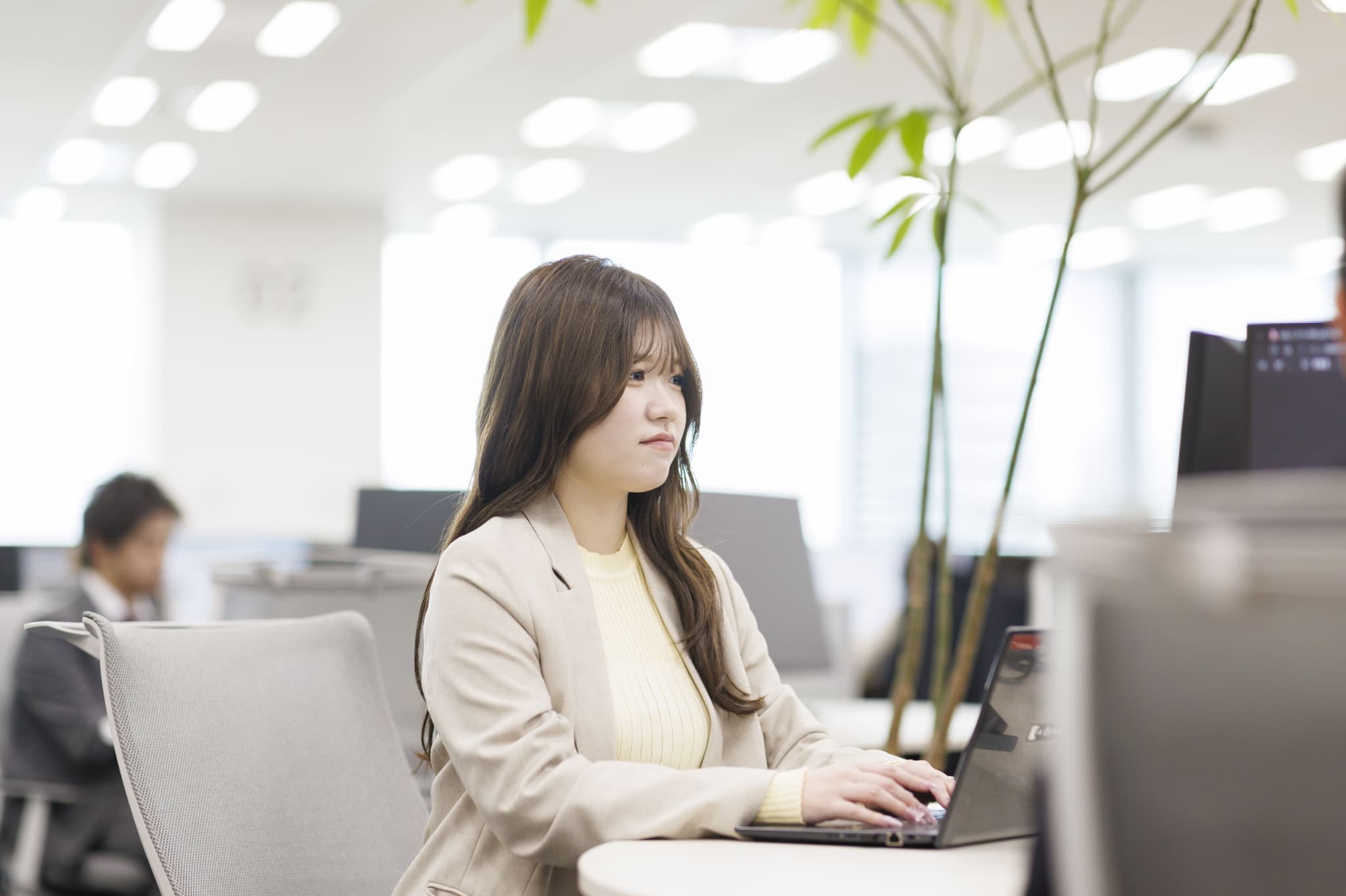担当している業務について教えてください