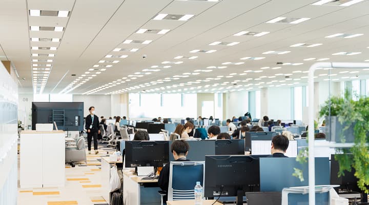 事業領域