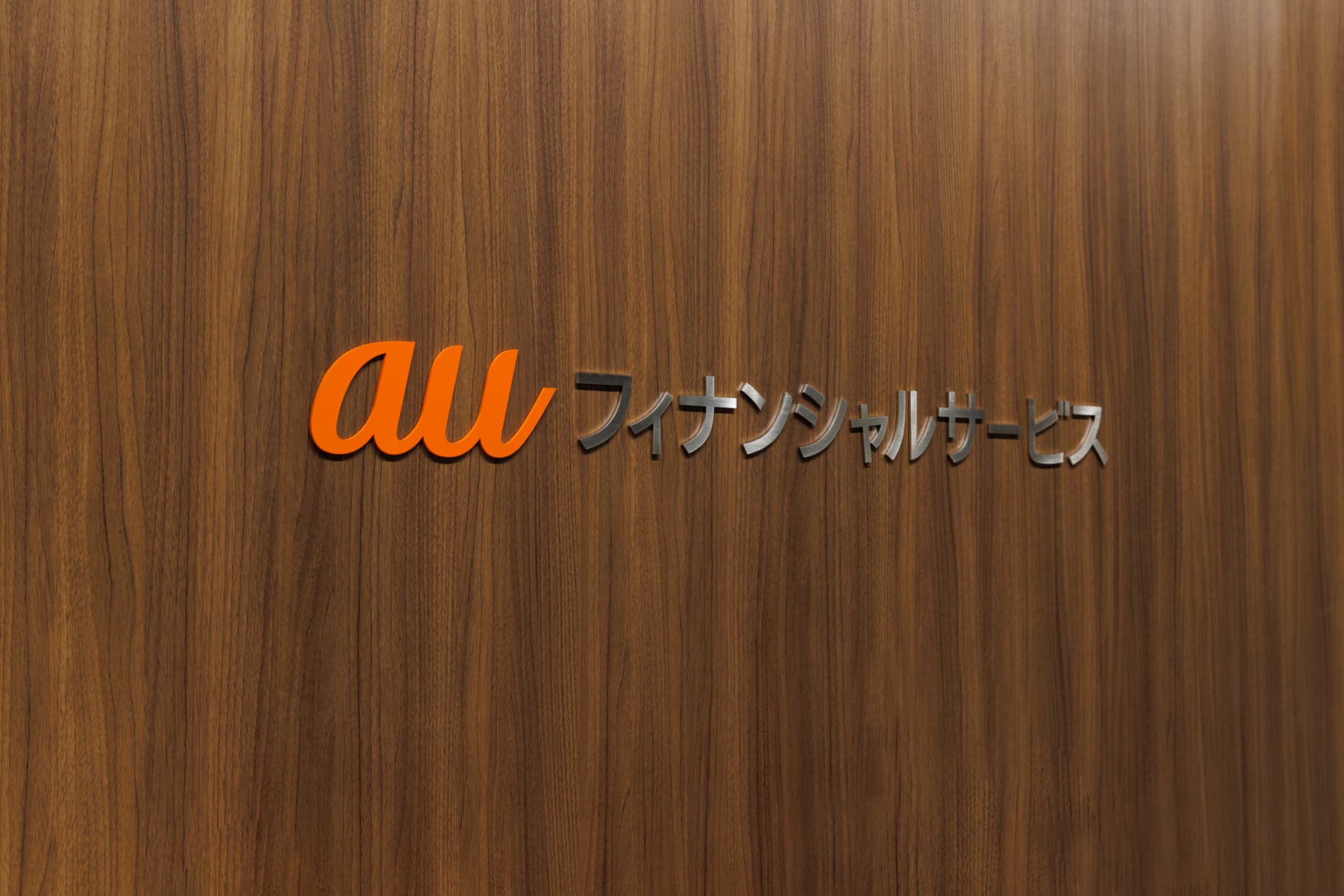 事業領域
